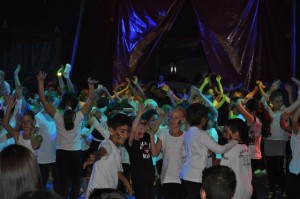 DSC_0334 (Kopie)