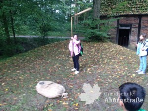 Vom Korn .. Dreschen 2