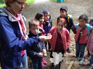 Vom Korn ... Staunen